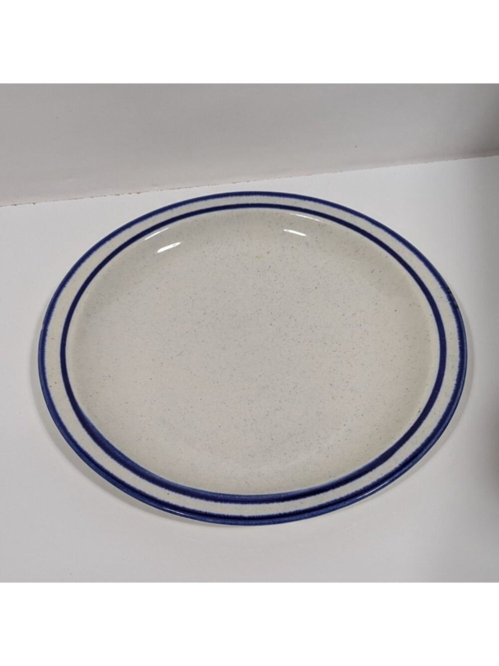Syracuse China Blue Oval Speckled Plate